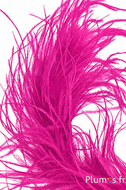 Struisvogel lont - 10 cm - pink